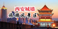 性爱3p网站中国陕西-西安城墙旅游风景区
